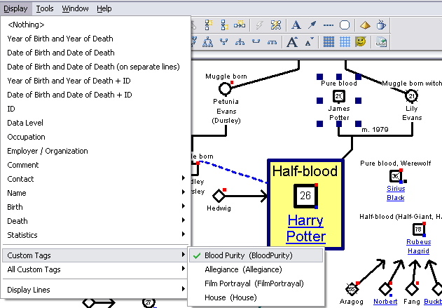 Use the Display menu to show the value of a custom tag in the genealogy tree