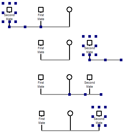 Changing the spouse/mate display order