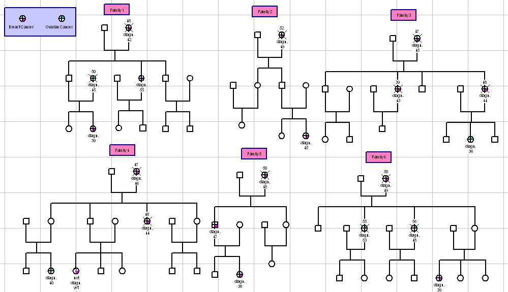 Breast cancer study genogram