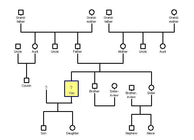 Family Tree Template: Genogram Template