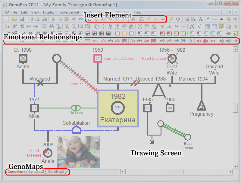 GenoPro interface overview