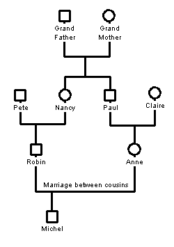 Marriage between cousins