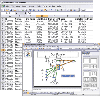 Copy paste from GenoPro to Microsoft Excel