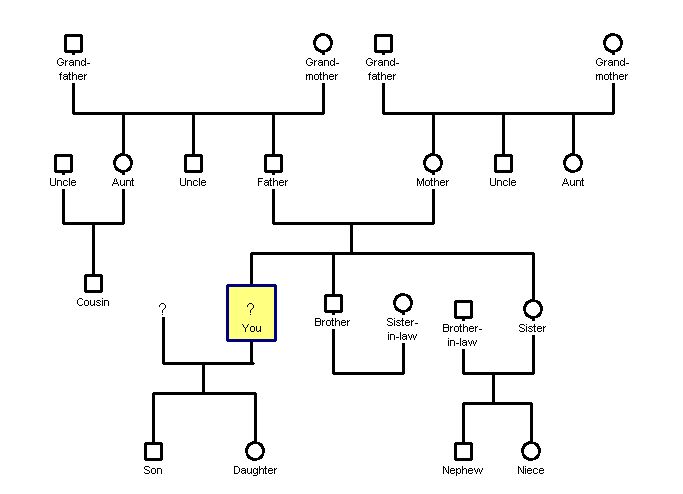 Family Tree Template Family Tree Genogram Templates