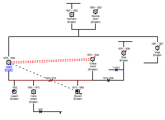 Albert Einstein's Partial Family Tree