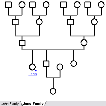 Hyperlink of Java in her family