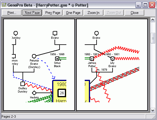 The Print Preview Dialog