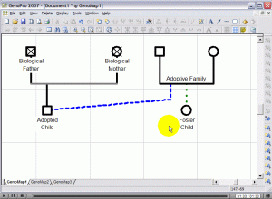 Video how to color multiple individuals